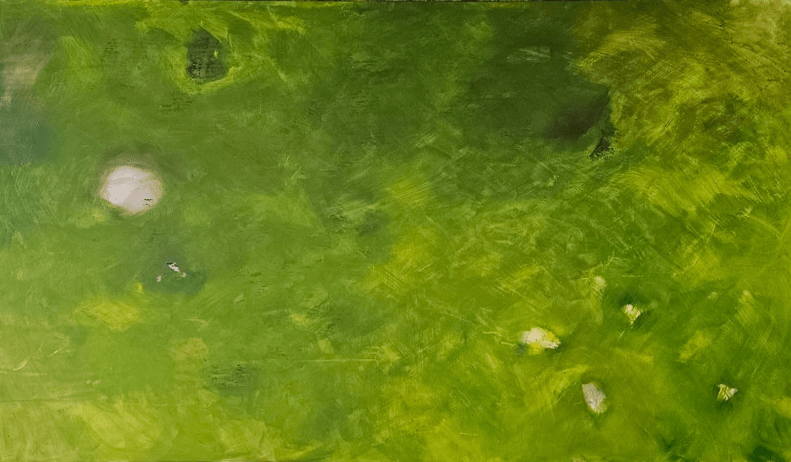 Example Image from Gallery